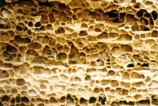 Honeycomb weathering on Luxembourg Sandstone