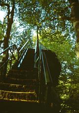 "Predigtstull" near Berdorf, outcrops are exploited to a maximum - © 1997 by Yves Krippel